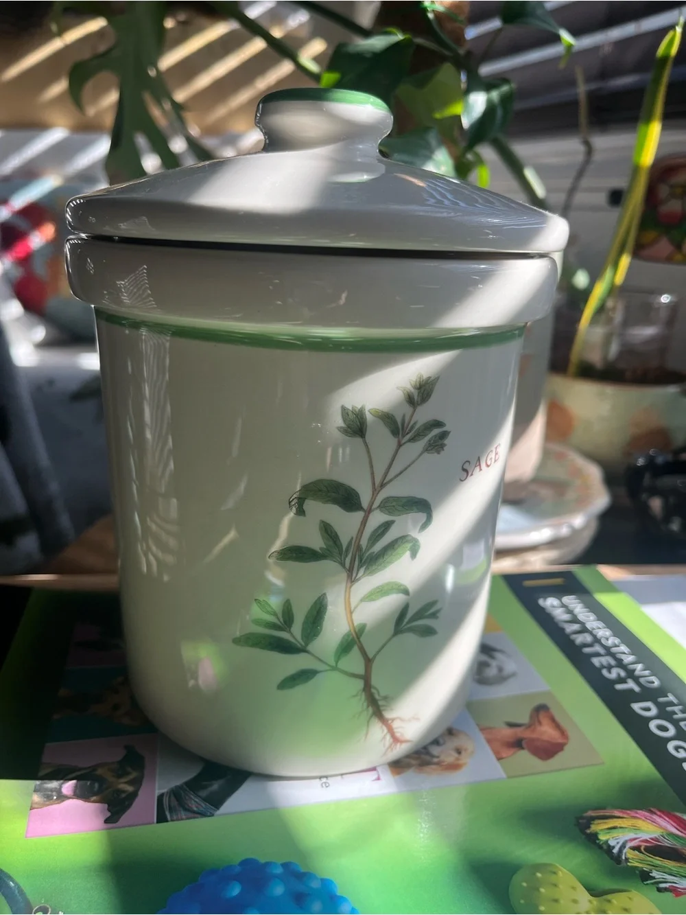 Williams-Sonoma Ceramic Canister Basil 8